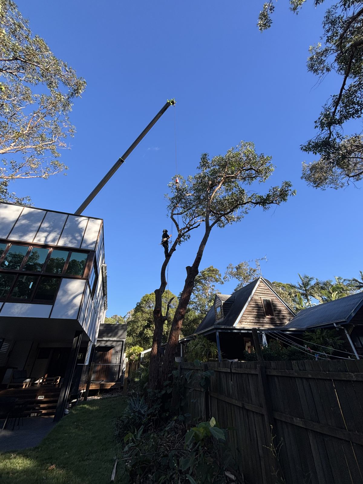 Crane lifting a tree section over a house